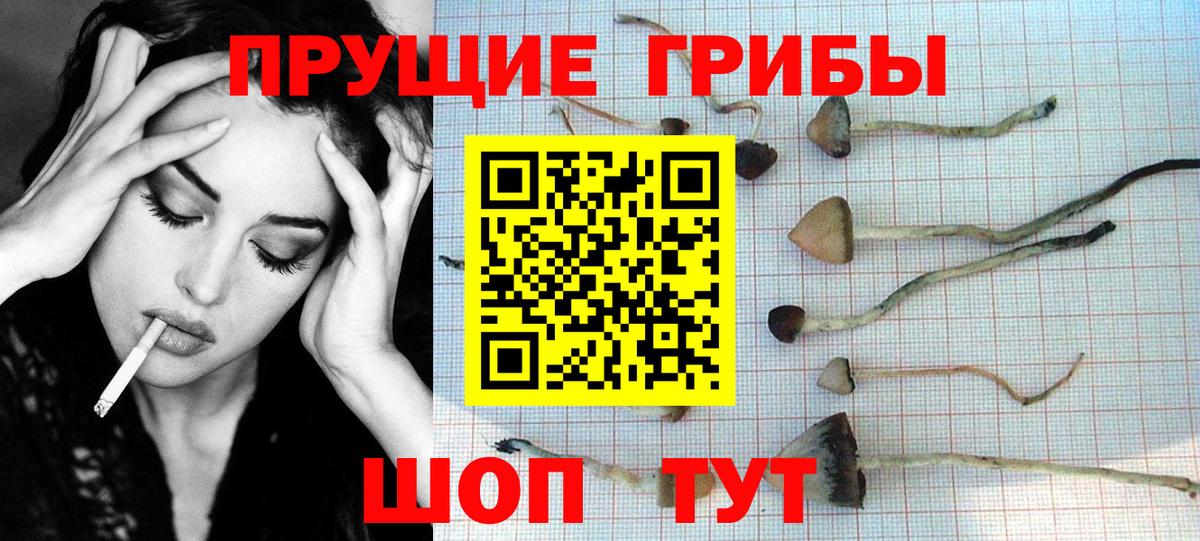Псилоцибиновые грибы мухоморы  Вход с VPN  продажа наркотиков  Ефремов  Псилоцибиновые грибы Psilocybine cubensis 